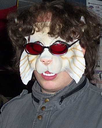 Cool Cat