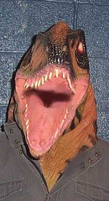 Dino Boy