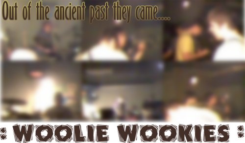 Woolie Wookies, sadly, still no photos